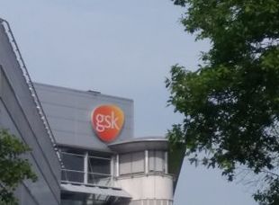 Glaxosmithkline zeist analist